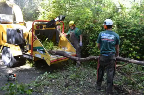 tree services Mitchellville